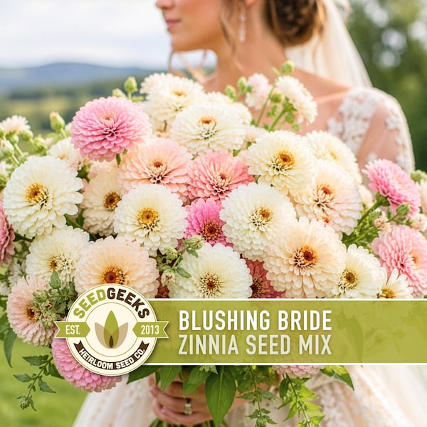 Blushing Bride Zinnia Mix |  100+ Seeds, Heirloom Wedding Flower, Bouquets, Pink & White, Zinnia elegans