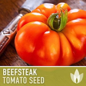 Beefsteak Tomato Heirloom Seeds - Slicing Tomato, Indeterminate, Open Pollinated, Non-GMO
