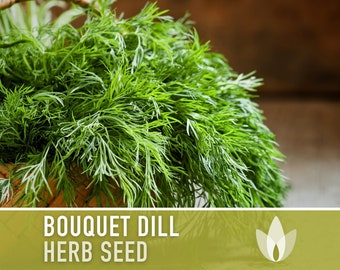 Bouquet Dill Herb Heirloom Seeds