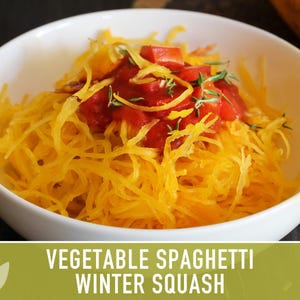 Vegetable Spaghetti Winter Squash Heirloom Seeds image 9