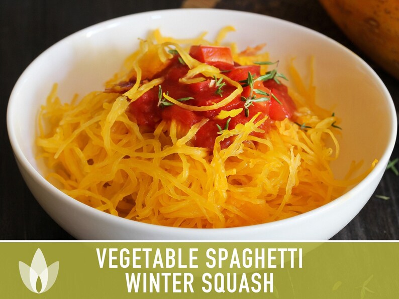 Vegetable Spaghetti Winter Squash Heirloom Seeds image 9