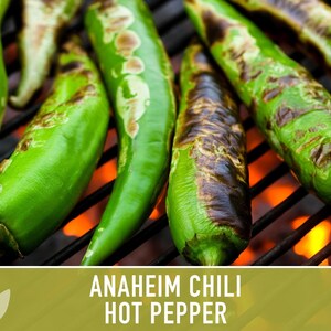 Anaheim Chili Seeds | 25+ Seeds, Heirloom, Mild Flavor, Versatile Use | Capsicum annuum image 6