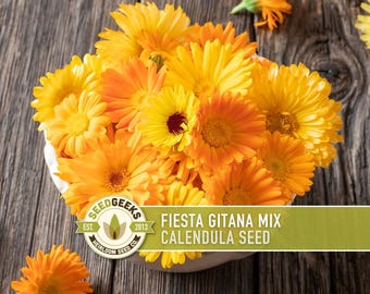 Calendula Officinalis, Fiesta Gitana Heirloom Seeds, Flower Seeds