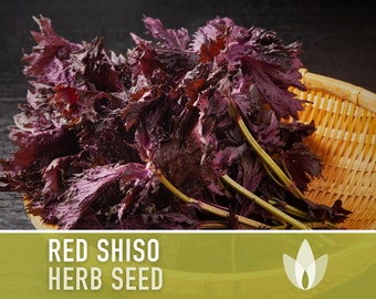 Whole-Dried Red Shiso Leaves (Akajiso)