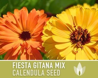 Calendula Officinalis, Semillas de reliquia Fiesta Gitana, Semillas de flores