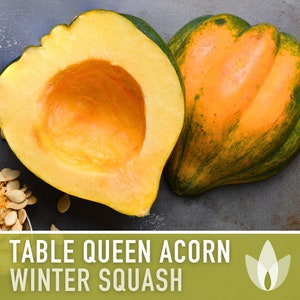 May include: A halved Table Queen acorn squash with a bright orange interior and green exterior. The squash is on a gray surface with seeds scattered around it. The text "TABLE QUEEN ACORN WINTER SQUASH" is displayed on a green background.