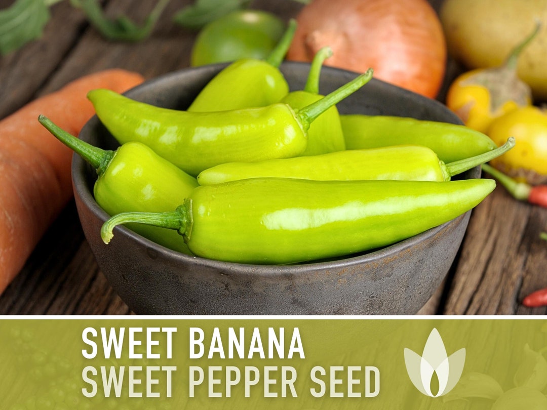Sweet Banana Pepper Heirloom Seeds Etsy