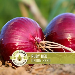 May include: Close-up of two vibrant red onions, showcasing their glossy skin and bulbous shape. The image includes the text "Ruby Red Onion Seed" and a logo. The onions are set against a blurred green background.