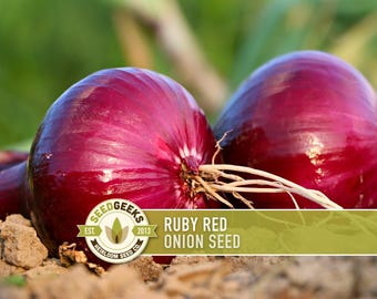 Ruby Red Onion Seeds | 150+ Seeds, Heirloom, Organic, Long Day | Allium cepa