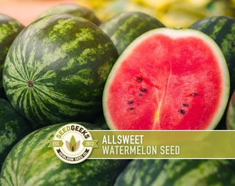 Allsweet Watermelon Heirloom Seeds - Non-GMO, Open Pollinated, Untreated