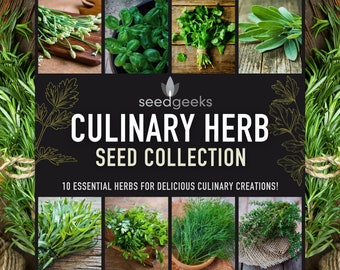 Culinary Herb Seed Collection - 10 Flavorful Heirloom Herbs for Delicious Culinary Creations, Gardener Gift, Stocking Stuffer, OP, Non-GMO