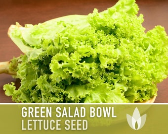 Green Salad Bowl Lettuce Heirloom Seeds