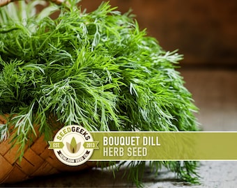 Bouquet Dill Heirloom Seeds - Non-GMO, Open Pollinated, Culinary Herb