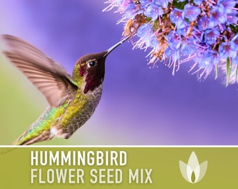 Hummingbird Garden Flower Mix Flower Seeds, Heirloom, Native, Flower Seeds