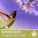 see more listings in the Flower Seeds section