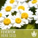 see more listings in the Flower Seeds section