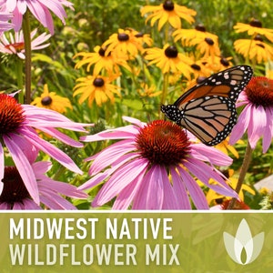 Midwest Native Mix Flower Seeds, Heirloom, Native, Flower Seeds