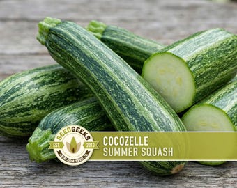 Cocozelle Courge d'été Courgette Graines Heirloom