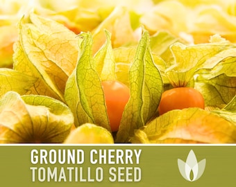 Tomatillo, Ground Cherry Husk Tomato Seeds - Cape Gooseberry, Heirloom, Organic, Non-GMO