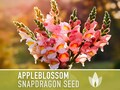 Appleblossom Snapdragon Seeds, Cottage Garden Flowers