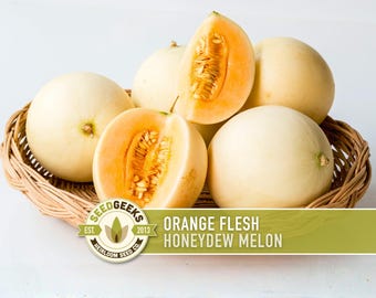 Orange Flesh Honeydew Melon Seeds, Heirloom, Non-GMO