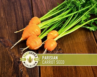 Parisian Carrot Heirloom Seeds - Seed Packets, Vegetable Seeds, Non GMO, Open Pollinated