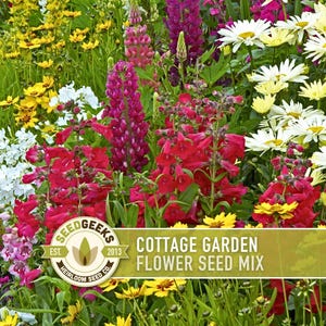Cottage Garden Wildflower Seed Mix – Heirloom Antique Flowers bild 1