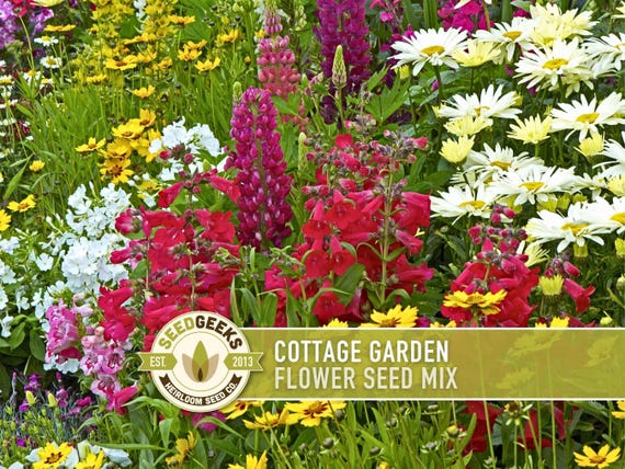 Cottage Garden Wildflower Seed Mix – Heirloom Antique Flowers