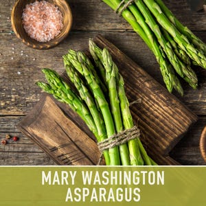 Mary Washington Asparagus Seeds, Heirloom Vegetable, Non-GMO image 5