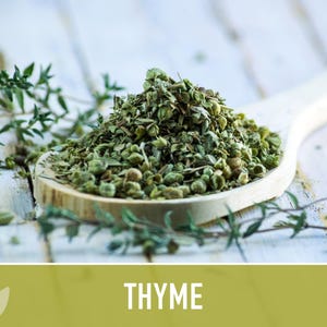 Thyme Herb Seeds | 200+ Seeds, Heirloom, Organic, Culinary, Medicinal, Rare, Perennial, Thymus vulgaris image 7