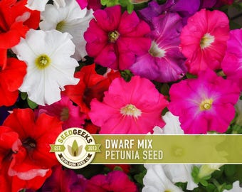 Dwarf Mix Petunia Seeds, Heirloom Pollinator Garden