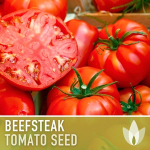 Beefsteak Tomato Heirloom Seeds