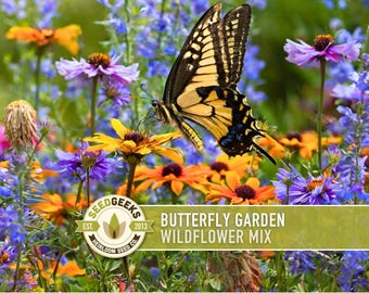 Butterfly Garden Flower Seeds Mix, Pollinator Wildflower Seeds