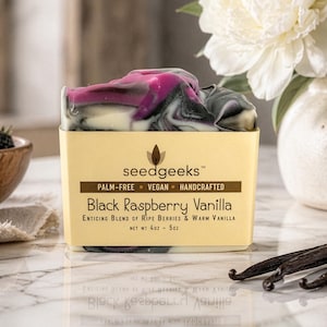 Black Raspberry Vanilla Soap | Handmade, Cold Process, Palm-Free, All Natural, Vegan, Fruity Summer Scent