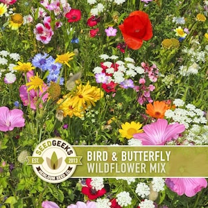 Bird & Butterfly Wildflower Seed Mix – Non GMO, Open Pollinated