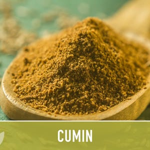 Cumin Herb Heirloom Seeds afbeelding 6