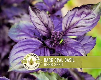 Dark Purple Opal Basil Heirloom Seeds - Culinary Herb, Non-GMO, Open Pollinated