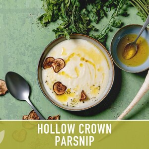 Hollow Crown Parsnip Heirloom Seeds - Non-GMO, Open Pollinated, Untreated, Root Vegetables, Fall Garden image 6