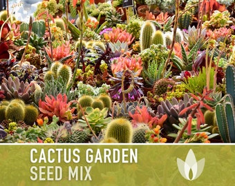 Cactus Garden Seed Mix - Heirloom Seeds, Perennial, Desert Native Plants, Houseplants, Easy To Grow, Non-GMO