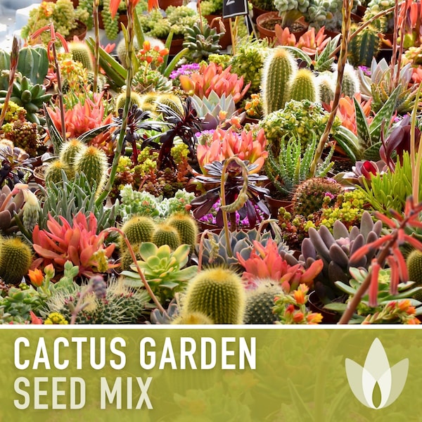 Cactus Garden Seed Mix - Heirloom Seeds, Perennial, Desert Native Plants, Houseplants, Easy To Grow, Non-GMO