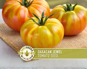 Oaxacan Jewel Tomato Heirloom Seeds
