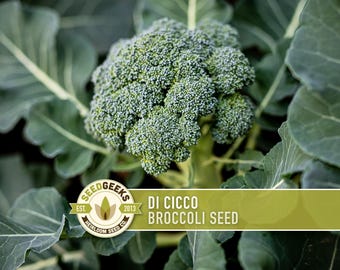 May include: Close-up of a head of broccoli with a green and blue-green hue. The image features the text "Di Cicco Broccoli Seed" on a green banner. The SeedGeeks logo is also visible, indicating a seed product.