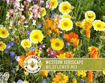 Western Xeriscape Wildflower Seed Mix – Drought-Tolerant, Non GMO