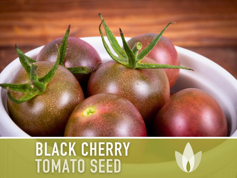 Black Cherry Tomato Seeds - Heirloom, Non-GMO image 5