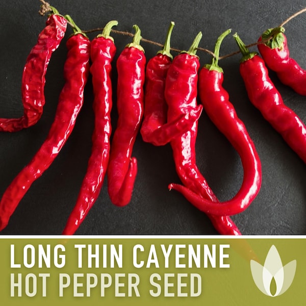 Cayenne Hot Pepper Seeds - Heirloom Seeds, Long Thin, Red Chili Pepper, Salsa Garden, Hot Sauce, Capsicum Annuum, Open Pollinated, Non-GMO