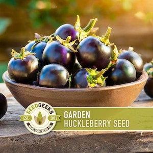 May include: A collection of dark purple garden huckleberries with green stems in a brown bowl. The bowl rests on a wooden surface. The image features a logo that reads "Seed Geeks" and "Garden Huckleberry Seed Co."