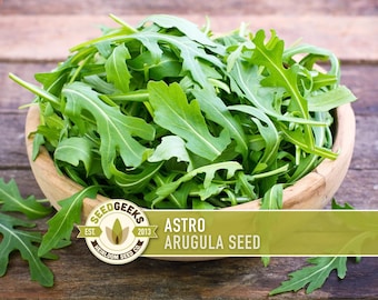 Astro Arugula Seeds – Heirloom, Cold Hardy, Non-GMO
