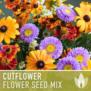 Cutting Flower Mix Flower Seeds, Heirloom, Native, Flower Seeds