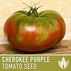Cherokee Purple Tomato Heirloom Seeds