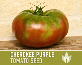 Cherokee Purple Tomato Heirloom Seeds